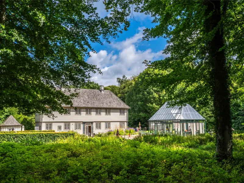 shutterstock_2529387095