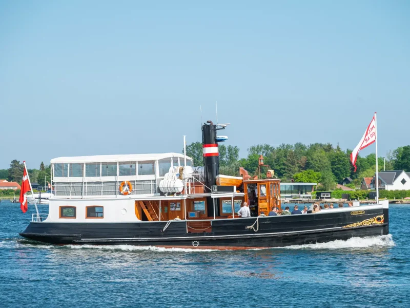 shutterstock_2544010787