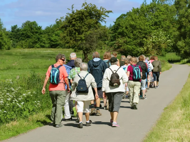 shutterstock_664546042